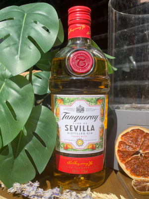 Tanqueray Sevilla